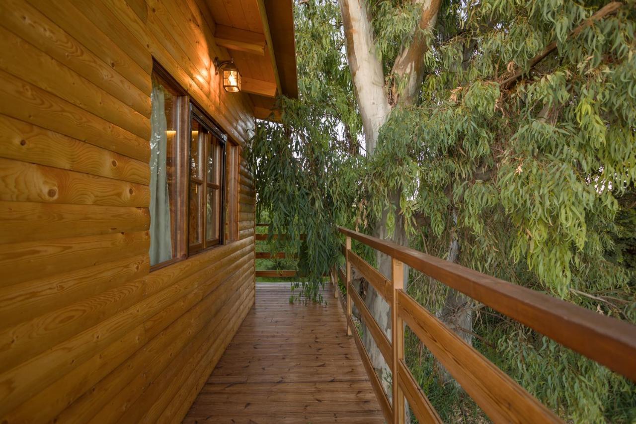 River Treehouse Laganas Dış mekan fotoğraf