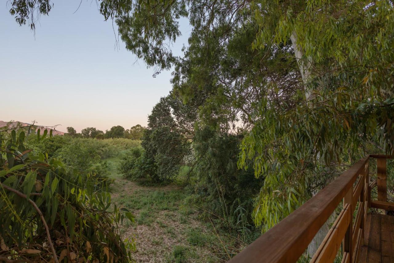 River Treehouse Laganas Dış mekan fotoğraf