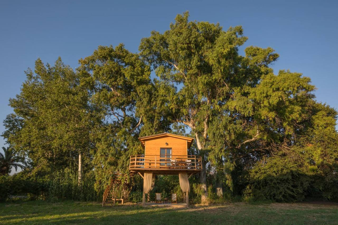 River Treehouse Laganas Dış mekan fotoğraf
